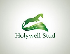 horse logo design